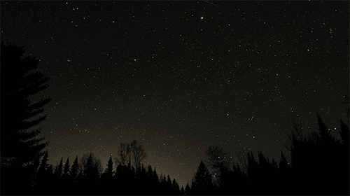 Ciel étoilé au-dessus des arbres en silhouette à Nàdàso