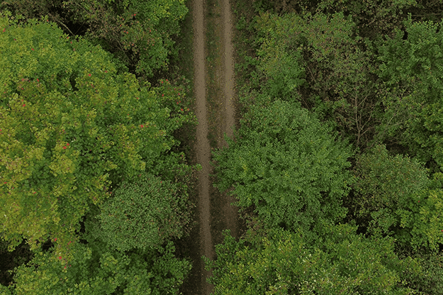 Sentier